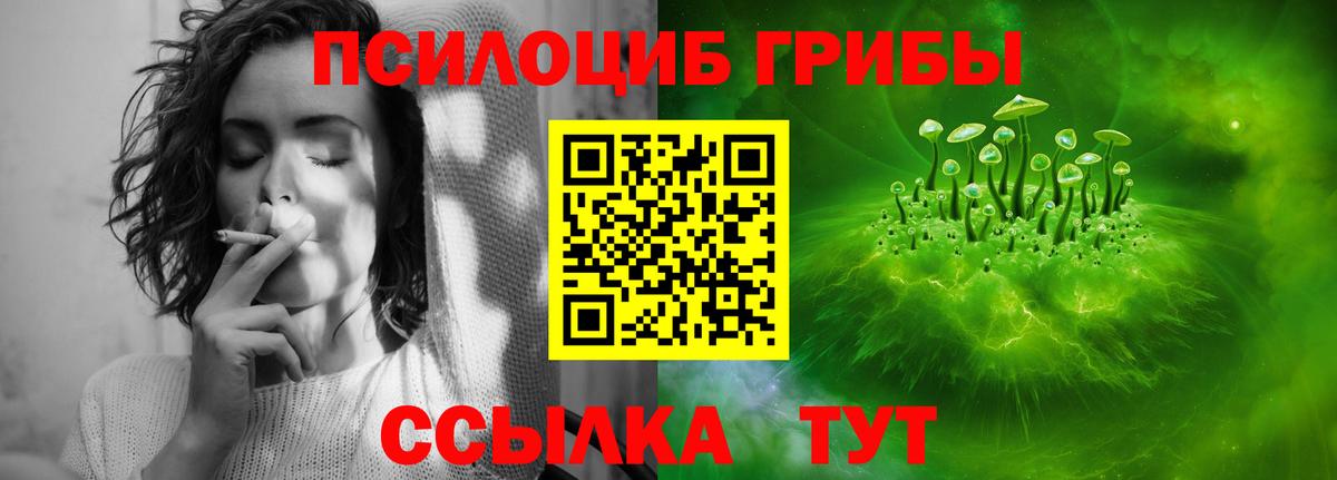 Дедовск  Галлюциногенные грибы Psilocybine cubensis  что такое   Вход с VPN 